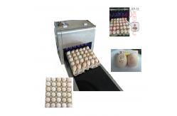 China Poultry Agriculture Egg Marking Equipment , Batch Code Printing Machine For Eggs supplier