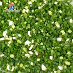 2.25KW 140KG Large commercial cutting machine vegetable and fruit cutting machine