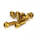Hexagonal Head Flange Titanium Bolts M2-M35 Size Silver Golden