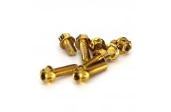 China Hexagonal Head Flange Titanium Bolts M2-M35 Size Silver Golden supplier