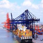 China To Amazon USA LCL Door To Door Sea Freight for sale