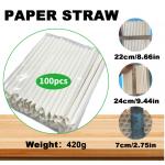 Sugarcane Bagasse Disposable Drinking Straw 20cm Length Compostable and Biodegradable for sale