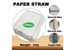 China Sugarcane Bagasse Disposable Drinking Straw 20cm Length Compostable and Biodegradable supplier