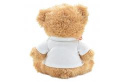 China Quick Rebound 20cm Hoodie Bow Teddy Bear Plush Toys For Children supplier