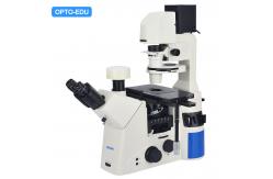China OPTO EDU A14.1096 Laboratory 22mm Inverted Fluorescence Microscope supplier