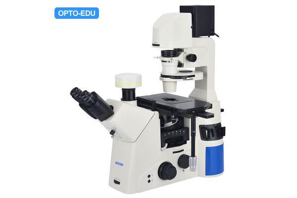 OPTO EDU A14.1096 Laboratory 22mm Inverted Fluorescence Microscope