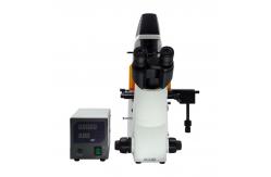 China Binocular Wide Field Fluorescence Microscopy A16.2614 40X - 1600X Magnification supplier