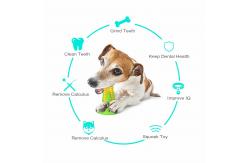 China Toxic Free Squeaky Dog Toys TPR Chew Toys For Aggressive Chewers supplier