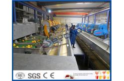 China CE Citrus Processing Equipment , Orange Juice Plant With Fruit Processing Technology supplier