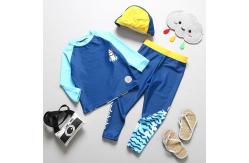 China Three Piece Boys Swimwear Sets Printed Blue Boy Bathing Suit supplier
