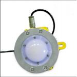 50 W Gas Station Industry Light IP65 Explosion Proof ExdⅡCT5 GB Led for sale