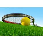 Monofilament Artificial Plastic Grass Good Water Permeability Green for sale