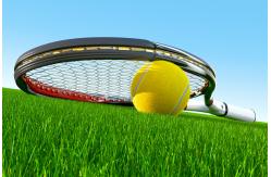 China Monofilament Artificial Plastic Grass Good Water Permeability Green supplier