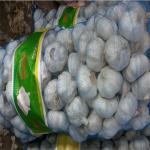 China GARLIC WITH 20KG MESHBAG PACKAGE for sale