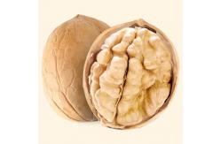 China Walnut wholesale kernel walnut Factory price Food supplements walnuts peptide supplier