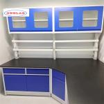 Number of Shelves Hooks Cupboards for Chemistry Lab Bench As Drawing for sale
