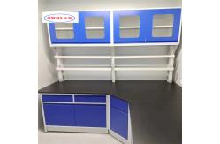 China Number of Shelves Hooks Cupboards for Chemistry Lab Bench As Drawing supplier