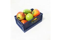 China CE Drainable Thickened Plastic Household Storage Containers For Sundries Collapsible supplier