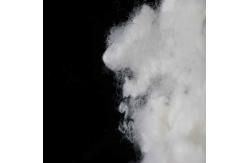 China 7D Flame Retardant Fiber 64mm Flame Retardant Hollow Conjugated Polyester Fibre supplier