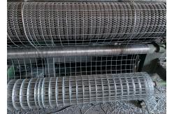 China Galvanized Welded Wire Mesh 1.5mm-3.0mm supplier