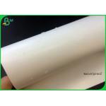 Greaseproof And Waterproof 300g FBB With Single PE For Making Lunch Box