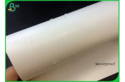 China Greaseproof And Waterproof 300g FBB With Single PE For Making Lunch Box supplier