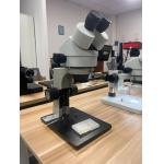 Binocular microscope