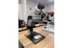 China Binocular microscope supplier