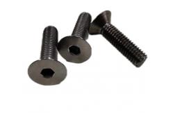China Titanium Hexagon Socket Countersunk Head Screw Gr1 Gr3 Gr5 supplier