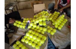 China Inflatable Jumbo Tennis Balls manufacturer