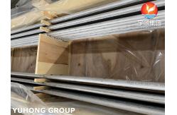 China ASME SA789 SMLS UNS S32205 Duplex Steel Bend U Boiler Tubes supplier