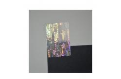 China 3D Genuine Dynamic change Security Hologram Stickers supplier