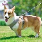 Lightweight Best Dog Harness For Puppies Cute Puppy Harness Dog Harness For Hiking for sale