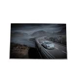 B141EW03 V5 14.1 inch 1280*800 LCD Display TFT-LCD SCREEN for sale