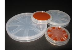 China Single Crystal GaP Wafer Gallium Phosphide As Red Yellow And Green LED supplier