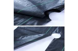 China Pp Woven Ground Cover Membrane Anti Grass Weed Control Cloth supplier