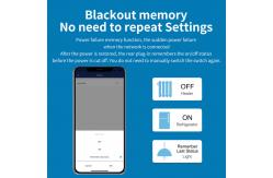 China Remote Control Homekit Light Socket WiFi Automation TUYU Remote Control Wall Socket supplier