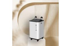 China Low Noise Light Weight Medical Oxygen Concentrator Physical Therapy supplier