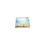 LQ043T1DH42 480*272 tft LCD Display Screen 4.3 inch Touch LCD Panel for sale