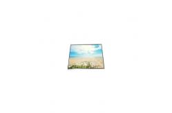 China LQ043T1DH42 480*272 tft LCD Display Screen 4.3 inch Touch LCD Panel supplier