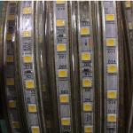 Dc12v Or Dc24v Ip68 60pcs Smd 5050 Led Strip For Underwater