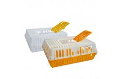 China Three Doors Broiler Transport Crates Poultry Polypropylene supplier