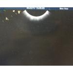 GE 8C-RS Micro Convex Ultrasound Transducer Probe Replace Parts Image Problem for sale
