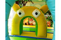 China Safari Park Inflatable Bouncy Castles Digital Printing Combi Slide Bouncer supplier