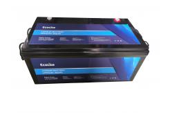 China Customized Light Weight 12.8V 460Ah LiFePO4 RV Lithium Battery integrated BMS supplier