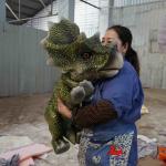Lightweight Soft Realistic Hand Puppet , Triceratops Hand Puppet