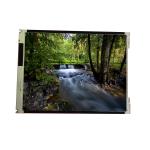 LM130SS1T611 13.0 inch CCFL LCD Panel for Banking Terminal POS Machine for sale