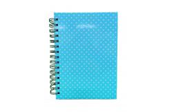 China Blue PVC Hard Cover Custom Printed Spiral Notebooks Metal Double Spiral Binding supplier