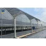 Multi Span Herb Greenhouse Farming UV Resistant With Hydroponic System for sale