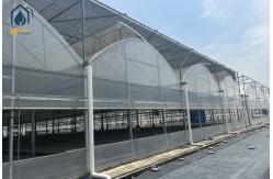 China Multi Span Herb Greenhouse Farming UV Resistant With Hydroponic System supplier